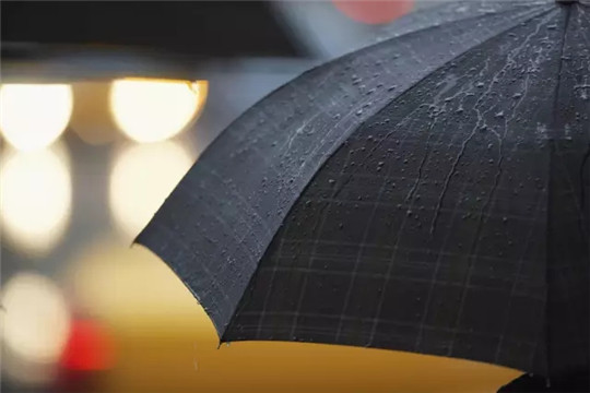 这些极有腔调的好伞，让你从此爱上下雨天-设计中国