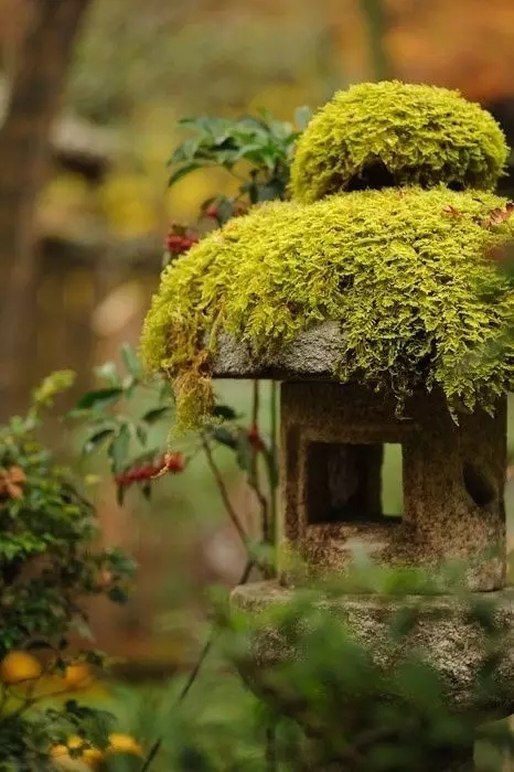 庭院小景-设计中国