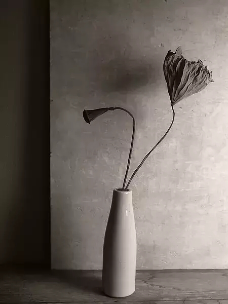 花器，美在日常-设计中国