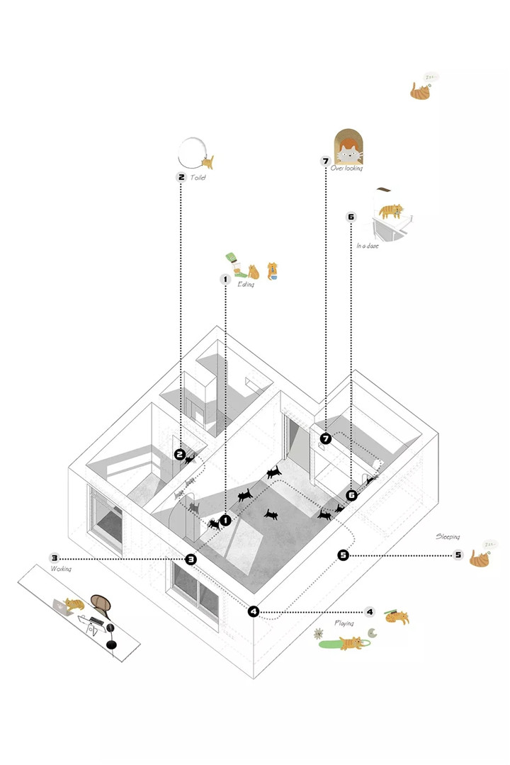 一人一猫，22㎡蜗居的改造与重生！-设计中国